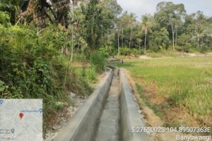 Petani Pekon Banyuwangi Kecamatan Banyumas Mengucapkan Terimakasih Kepada Dinas PSDA Provinsi Lampung Melaksanakan Pekerjaan Irigasi Dengan Baik