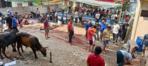 DKM MASJID BABUL JANNAH GG.MASJID KELURAHAN JAGABAYA III ,PANITIA PELAKSANAAN QURBAN, PENYEMBELIHAN 5 SAPI DAN 13 KAMBING.