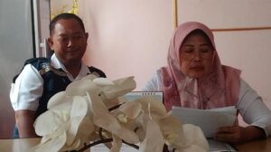 Dinas Perternakan Lamsel Tutup Mata 19 Ekor Sapi Bantuan Lenyap Di Jual PURWANTO Ketua Kelompok