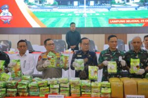 Polda Lampung Musnahkan Ratusan Kilo Narkotika