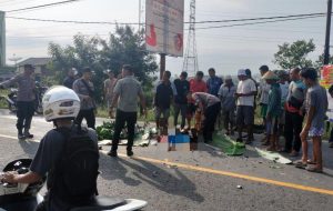 Pemotor Tabrak Truk, Pelajar SMP di Pringsewu Tewas