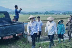 Pj.Bupati Pringsewu Panen Perdana Padi Organik Teknologi BBM