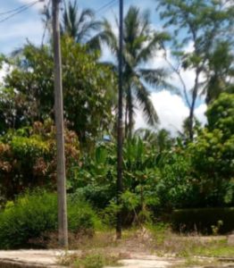 Tiang Internet Dipasang Tampa Izin Warga Pemilik Tanah Minta Untuk Di Bongkar