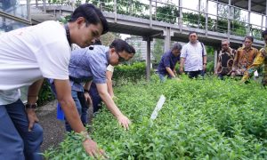 PJ Bupati Pringsewu Kunjungi Rumah Atsiri Tawangmangu untuk Pengembangan UMKM