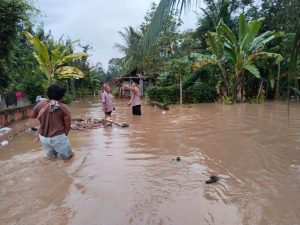 Puluhan Rumah di Pringsewu Terendam Banjir Kiriman Dari Tanggamus