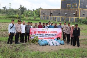 Dukung Ketahanan Pangan, Polres Pringsewu Salurkan Bantuan Bibit dan Perlengkapan Pertanian di Empat Pekon