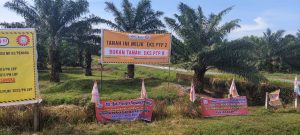 Masyarakat Penggugat Lahan Kebun Penara PTPN 2 Gunakan Surat / Bukti Palsu Dimenangkan Hakim Mahkamah Agung