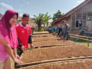 Satgas TMMD Bantu Warga Jemur Tembakau di Sela Istirahat
