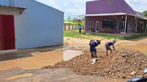 Adi Erlansyah Timbun Jalan Rusak di Pekon Buluk Sari, Bukti Kepedulian untuk Masyarakat
