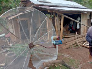 Kawanan Gajah di Tanggamus Tewaskan Seorang Warga