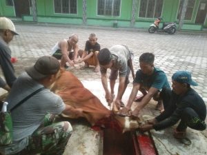 Jama’ah Masjid Mujahidin Sambut Nisfu Sya’ban dengan Sapi Berkah