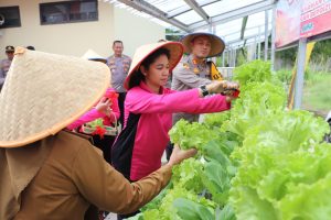 Pemberdayaan Pekarangan: Bhayangkari Pringsewu Sukses Hasilkan Panen Sayuran Segar