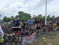 DPRD Lampung: Besok perusahaan terapkan harga ubi kayu Rp1.400 per kg