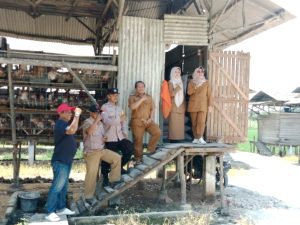 Ir. Rini Ariasih, MM., Melakukan Pemantauan Terhadap Peternak Ayam Mandiri PT. Putra Mandiri Palas (PMP) di Desa Mekar Mulya, Kecamatan Palas