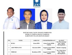 PNS Aktif di Tulangbawang Barat Dituding Melanggar Aturan, Mencalonkan Diri Sebagai Ketua DPD PAN