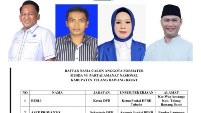 PNS Aktif di Tulangbawang Barat Dituding Melanggar Aturan, Mencalonkan Diri Sebagai Ketua DPD PAN