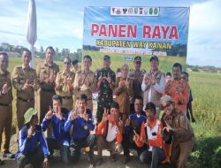 Panen Raya Padi di Way Kanan, TNI dan Pemda Kompak Dukung Swasembada Pangan