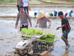 Kapolda Lampung Dukung Tanam Raya Padi Serentak di Metro