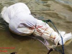 Aliyan Hilang, Diduga Dibunuh dan Dibuang ke Laut Keluarga Tuntut Keadilan