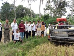 Camat Palas Turunkan Alat Panen Cepat, Petani Mekar Mulya Terbantu