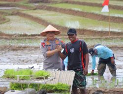 Kapolda Lampung Hadiri Gerak Tanam Raya Padi Serentak, Dukung Ketahanan Pangan Nasional