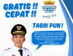 SIP-Online Diluncurkan, DPMPTSP Permudah Izin Praktik Nakes di Lamsel