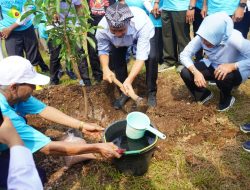 Tanam Alpukat, Bupati Harapkan dapat Memberikan Manfaat untuk Masyarakat dan Lingkungan Lebih Lestari.