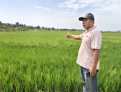 H.Aribun Sayunis: Alih Fungsi Tambak di Lampung Selatan Jadi Lahan Pangan Produktif