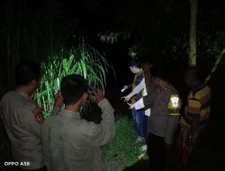 Waspada Serangan Buaya di Sungai Way Semaka, Polda Lampung Imbau Warga Lebih Hati-hati