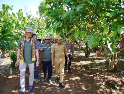 Program Cocoa Life, Mondelez International dan OFI Launching Kebun Percontohan CASDI Di Kabupaten Pringsewu