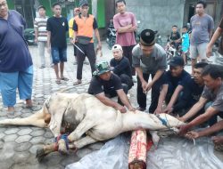 Qurban Melimpah, Warga Dapat 1 Kilo Daging di Masjid Mujahidin