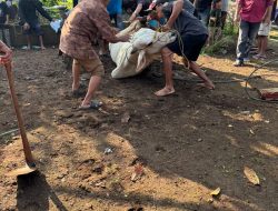 Qurban Tingkatkan Jiwa Sosial dan Religius Warga Tirtosari 1