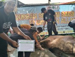Semarak Idul Adha di Masjid Al Iman: 47 Hewan Qurban untuk Warga