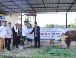 Idul Adha 1446 H, Polres Pringsewu Satukan Kebersamaan Lewat Sholat Ied dan Qurban