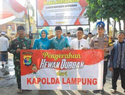 Tingkatkan Rasa Persaudaraan, Polda Lampung Salurkan 58 Hewan Kurban di Iduladha 1446 H