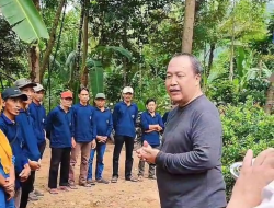 Optimalisasi Budidaya Lebah Trigona Apicalis melalui Sistem IoT: Pengabdian Masyarakat P2MS ITB Tahun 2025