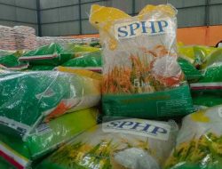Bulog Lamsel Salurkan 20 Kg Beras untuk 106 Ribu Warga