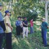 Bupati Pringsewu Tinjau Gotongroyong Bersihkan Embung Ngudi Rukun Sukoharjo I