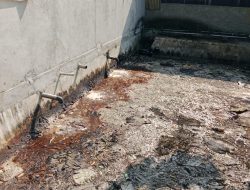 CV. Arina Bekri Diduga Langgar Aturan Limbah, Warga Minta Tindakan Tegas