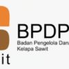 Diduga Ada Cashback dan Beban Petani dalam Program Sarpras Sawit di Pringsewu Terbongkar 
