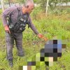 Satgas Ops Damai Cartenz Dalami Kasus Pembunuhan Warga Sipil di Dekai, Yahukimo, Diduga Dilakukan KKB