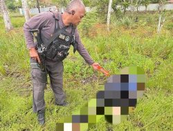 Satgas Ops Damai Cartenz Dalami Kasus Pembunuhan Warga Sipil di Dekai, Yahukimo, Diduga Dilakukan KKB