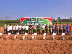 Penanaman Jagung Serentak Kwartal 3, Polda Lampung Siap Mendukung Program Ketahanan Pangan Pemerintah