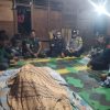 Polisi Imbau Warga Waspada, Seorang Petani Diduga Meninggal Diterkam Harimau di Lampung Barat