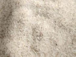 Beras Bantuan untuk Warga Palas Ditemukan Berkutu, Kades dan Pendamping PKH Bungkam