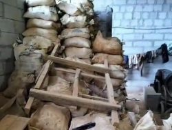 Warga Keluhkan Maraknya Tambang Emas Ilegal di Pesawaran, Puluhan Gelundung Beroperasi di Permukiman