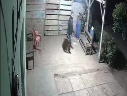 Buat Resah, Komplotan Maling Satroni Rumah Warga di Sinarjawa Tanggamus