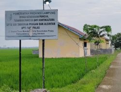 Unit Produk Benih Palas Kembali Berulah , Pinjaman Talangan Modal Produksi