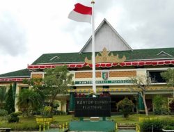 Kompetensi Tenaga Ahli Bupati Pringsewu Menjadi Sorotan Publik