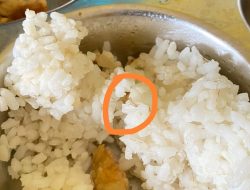 Diduga Tercampur Ulat, Makanan Bergizi Gratis di kecamatan Palas Dikeluhkan Wali Murid